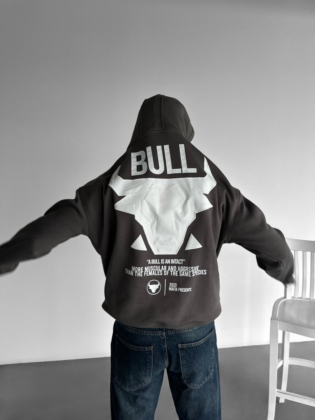 Oversize Bull Hoodie - Antracyt