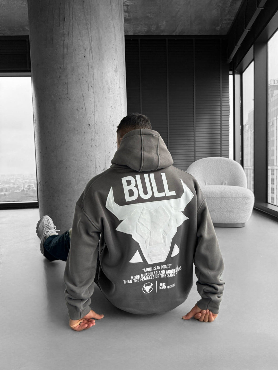 Oversize Bull Hoodie - Antracyt