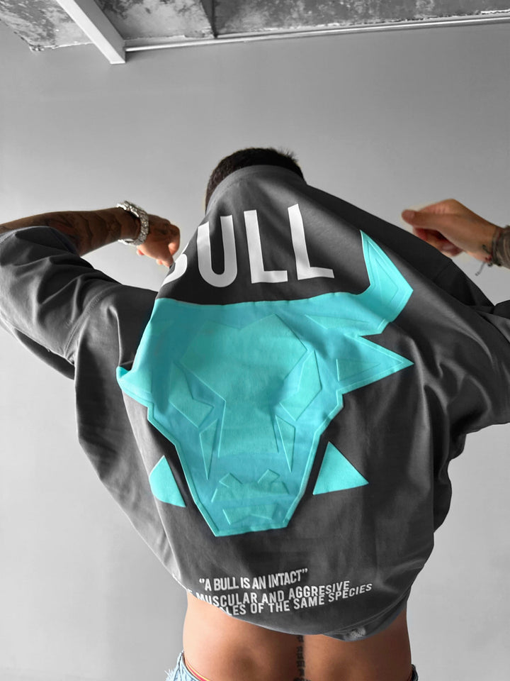 T-shirt Oversize Bull - Antracyt